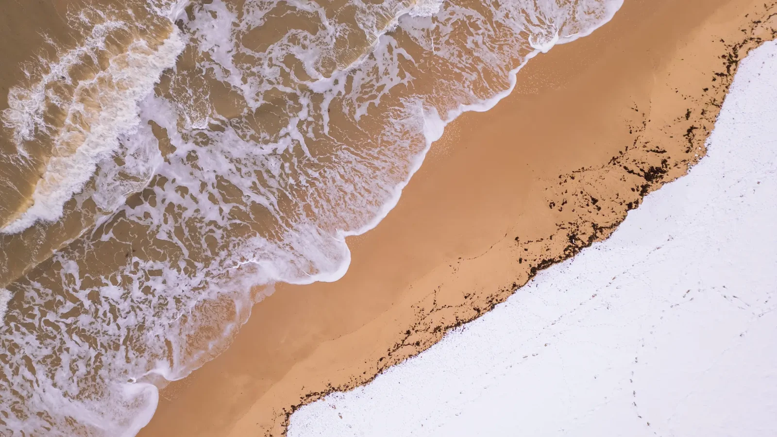 Waves on a coastline, concept image for Rigore Salato